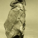 This is the completed Rockspinner. These people had an impromptu performance on the rock in a dust storm as another person spun them around.